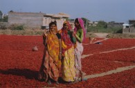 Leslie Lawrence, photograph (2009)